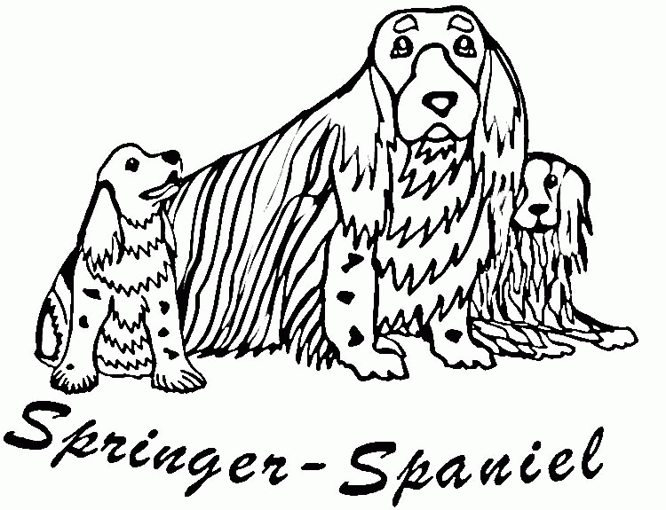 Springer Spaniel - Kolorowanka do Druku dla Dzieci kolorowanka do druku